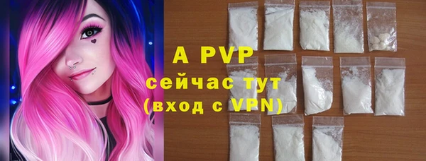 сатива Надым