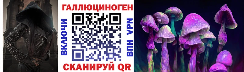 мега сайт Заводоуковск Галлюциногенные грибы мицелий